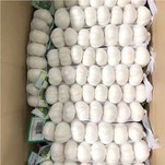 سائز 5.5 بلک خالص سفید لہسن کی براہ راست فروخت