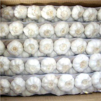 سفید جلد کی تازہ لہسن کی چوٹی